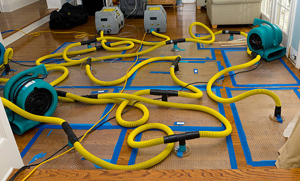 Professional Basement Flood Cleanup technician working in Beaufort, NC